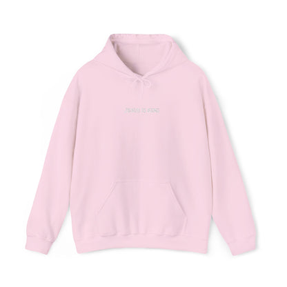 Jesus Is King Hoodie